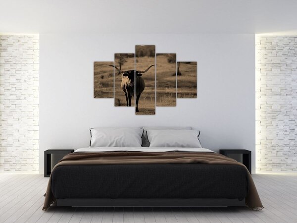 Slika - Teksaška krava (150x105 cm)