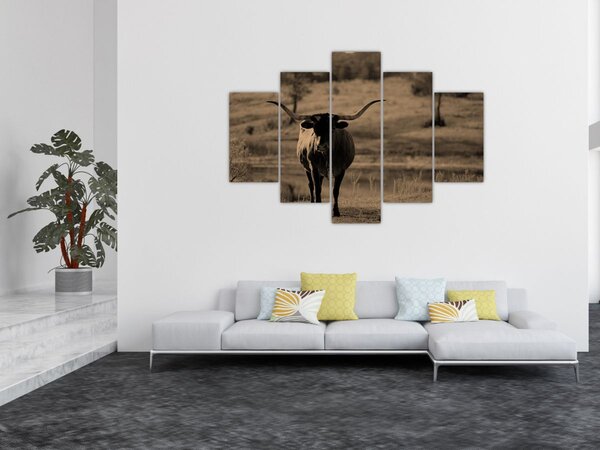 Slika - Teksaška krava (150x105 cm)