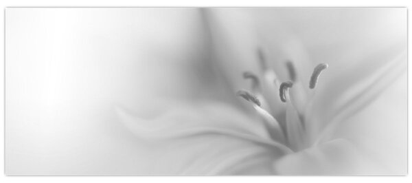 Slika - Nježni ljiljan (120x50 cm)