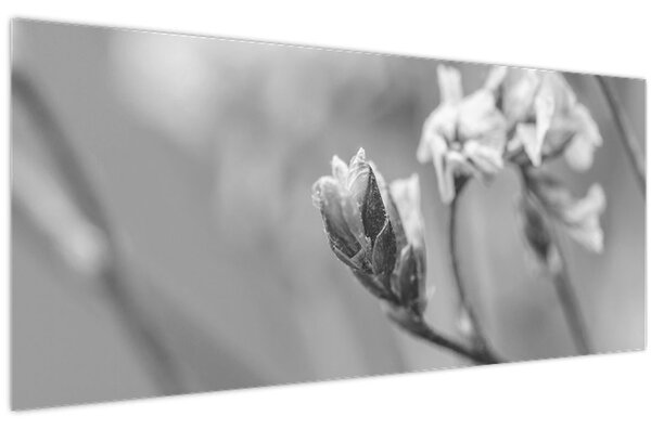 Slika - Rascvjetani cvijet (120x50 cm)