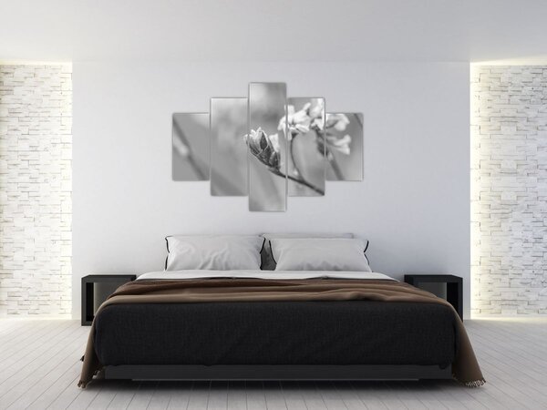 Slika - Rascvjetani cvijet (150x105 cm)