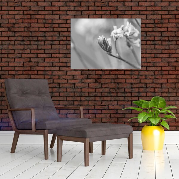 Slika - Rascvjetani cvijet (70x50 cm)