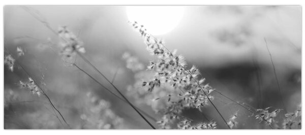 Slika - Jesenja livada (120x50 cm)