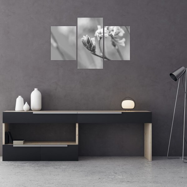 Slika - Rascvjetani cvijet (90x60 cm)