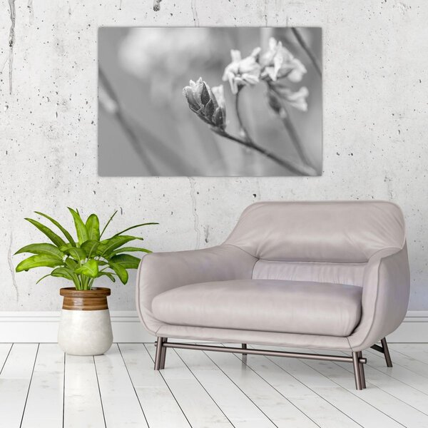 Slika - Rascvjetani cvijet (90x60 cm)