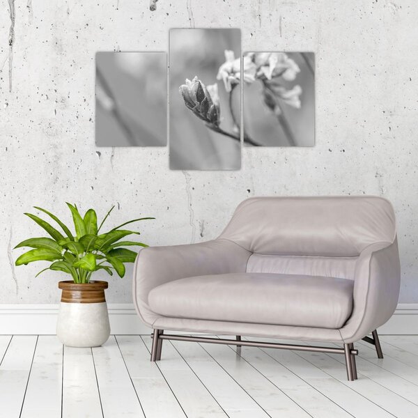 Slika - Rascvjetani cvijet (90x60 cm)