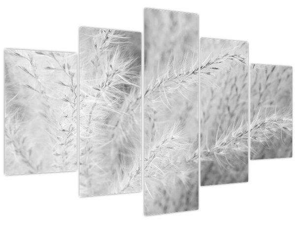 Slika - Pampas trava N⁰1 (150x105 cm)