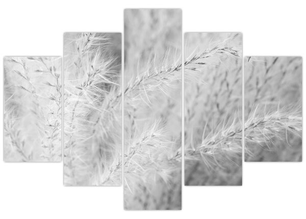 Slika - Pampas trava N⁰1 (150x105 cm)
