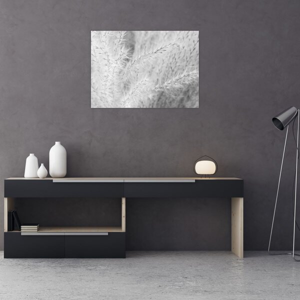 Slika - Pampas trava N⁰1 (70x50 cm)