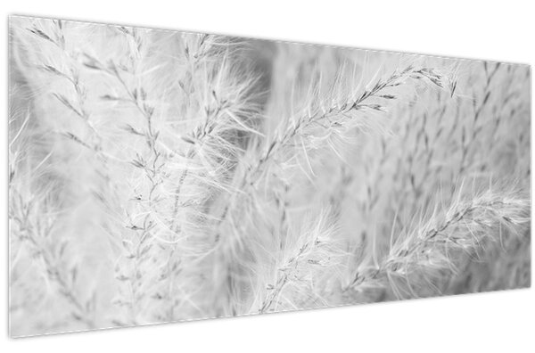Slika - Pampas trava N⁰1 (120x50 cm)