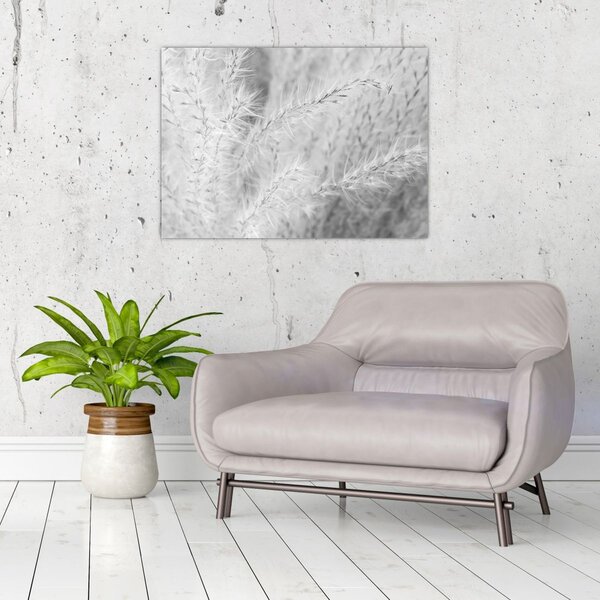 Slika - Pampas trava N⁰1 (70x50 cm)