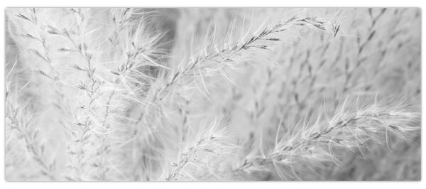 Slika - Pampas trava N⁰1 (120x50 cm)