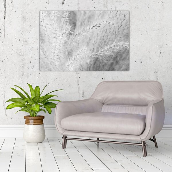 Slika - Pampas trava N⁰1 (90x60 cm)