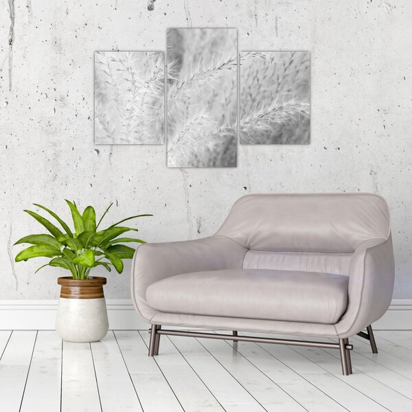 Slika - Pampas trava N⁰1 (90x60 cm)