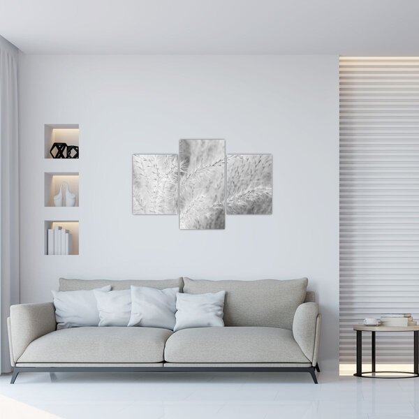 Slika - Pampas trava N⁰1 (90x60 cm)