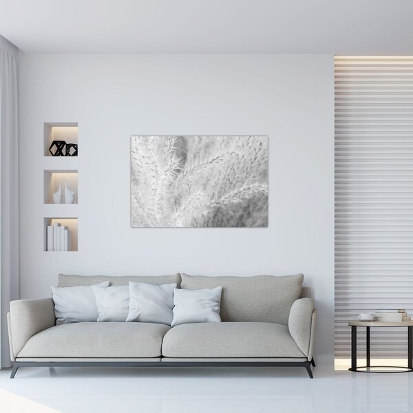 Slika - Pampas trava N⁰1 (90x60 cm)