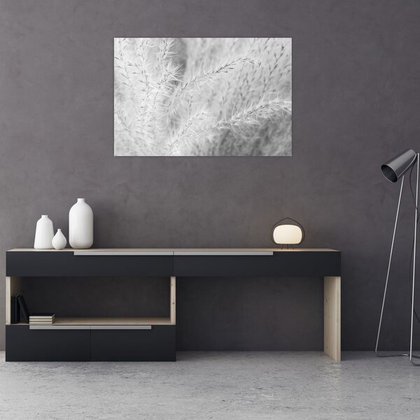 Slika - Pampas trava N⁰1 (90x60 cm)