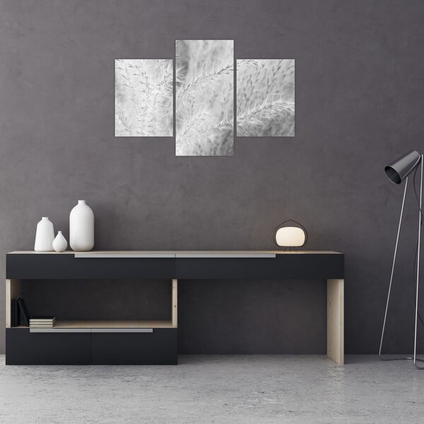 Slika - Pampas trava N⁰1 (90x60 cm)