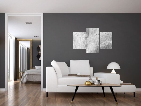 Slika - Pampas trava N⁰1 (90x60 cm)
