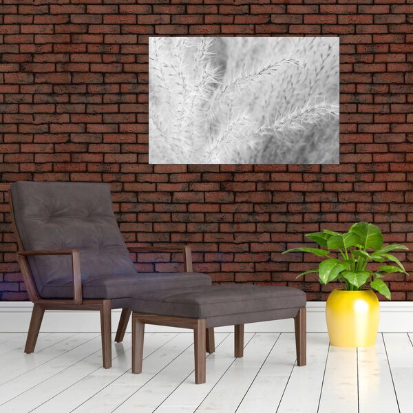 Slika - Pampas trava N⁰1 (90x60 cm)