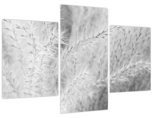 Slika - Pampas trava N⁰1 (90x60 cm)
