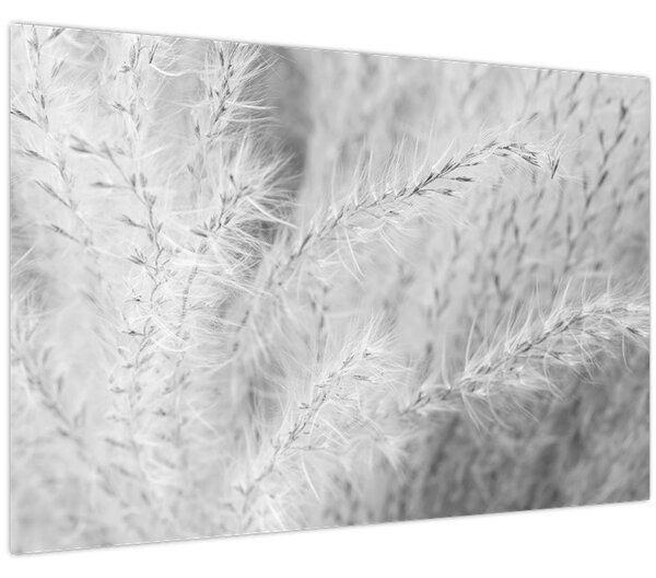 Slika - Pampas trava N⁰1 (90x60 cm)