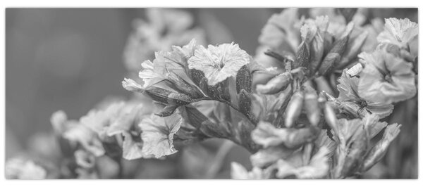 Slika - Osušeno cvijeće (120x50 cm)