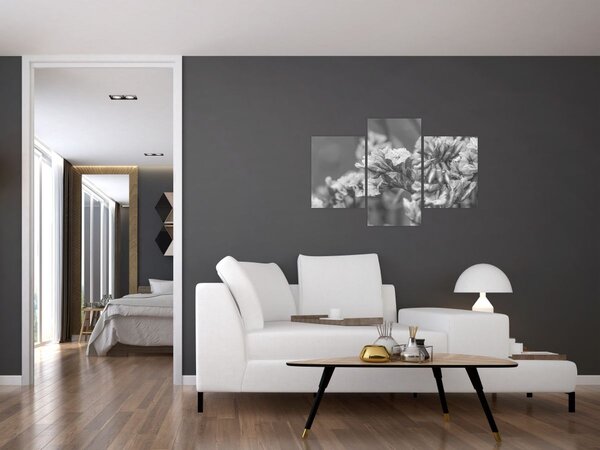 Slika - Osušeno cvijeće (90x60 cm)