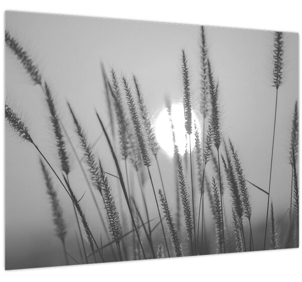 Slika - Livada u zalasku sunca (70x50 cm)