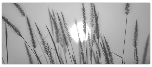 Slika - Livada u zalasku sunca (120x50 cm)