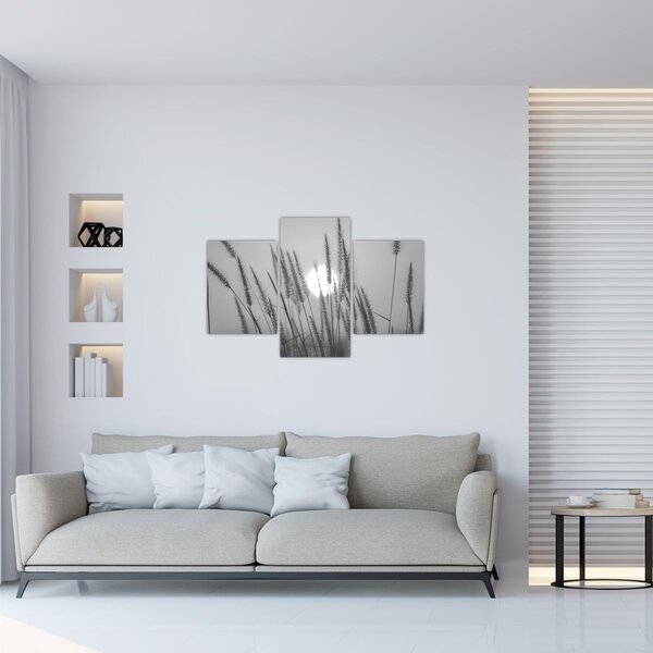 Slika - Livada u zalasku sunca (90x60 cm)