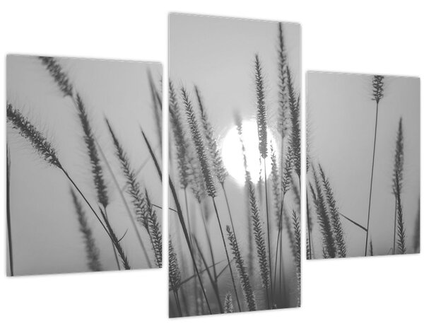 Slika - Livada u zalasku sunca (90x60 cm)