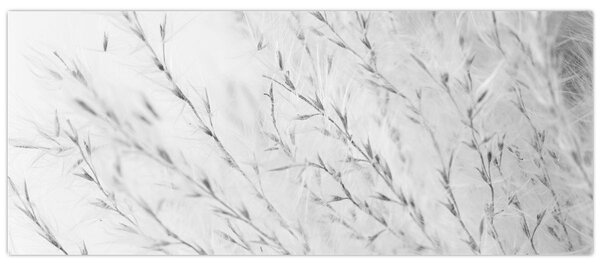 Slika - Pampas trava N⁰2 (120x50 cm)