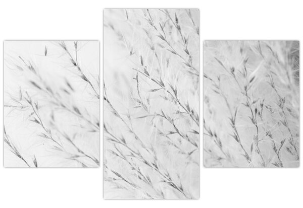 Slika - Pampas trava N⁰2 (90x60 cm)