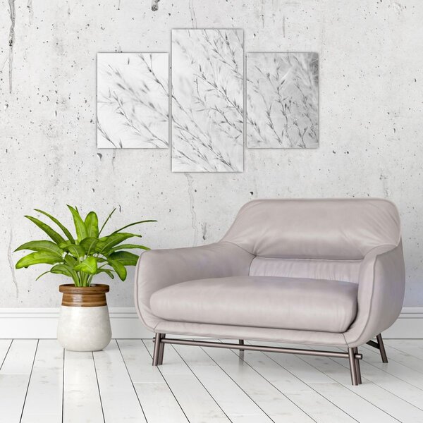 Slika - Pampas trava N⁰2 (90x60 cm)
