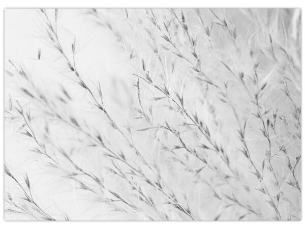 Slika - Pampas trava N⁰2 (70x50 cm)