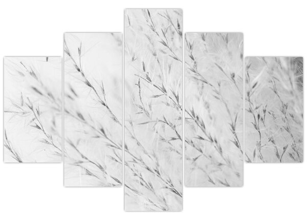 Slika - Pampas trava N⁰2 (150x105 cm)