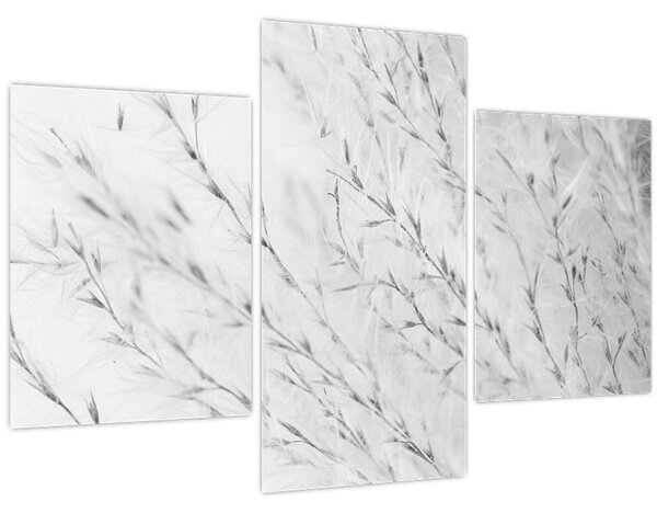 Slika - Pampas trava N⁰2 (90x60 cm)