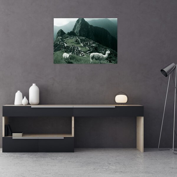 Slika - Plamen u Machu Picchuu u Peruu (70x50 cm)