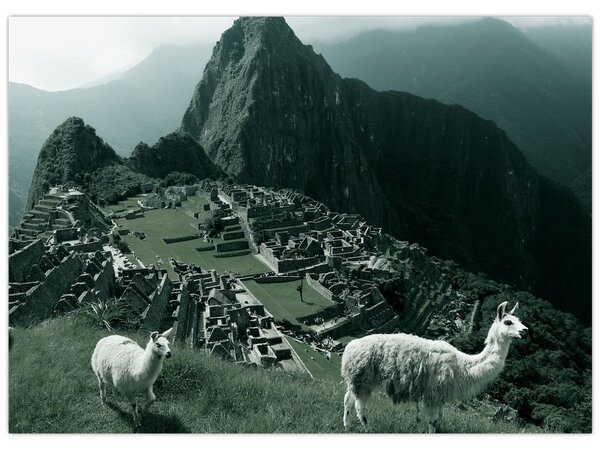Slika - Plamen u Machu Picchuu u Peruu (70x50 cm)