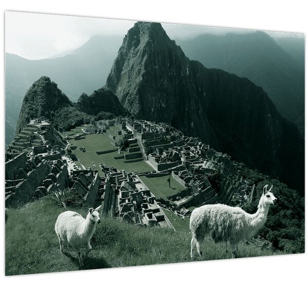 Slika - Plamen u Machu Picchuu u Peruu (70x50 cm)