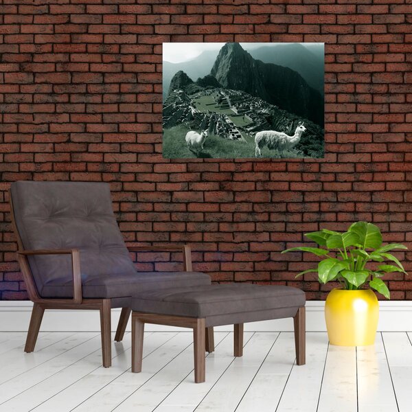 Slika - Plamen u Machu Picchuu u Peruu (70x50 cm)