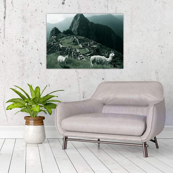 Slika - Plamen u Machu Picchuu u Peruu (70x50 cm)