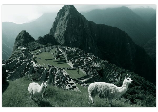 Slika - Plamen u Machu Picchuu u Peruu (90x60 cm)