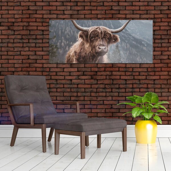 Slika - Highlander krava (120x50 cm)