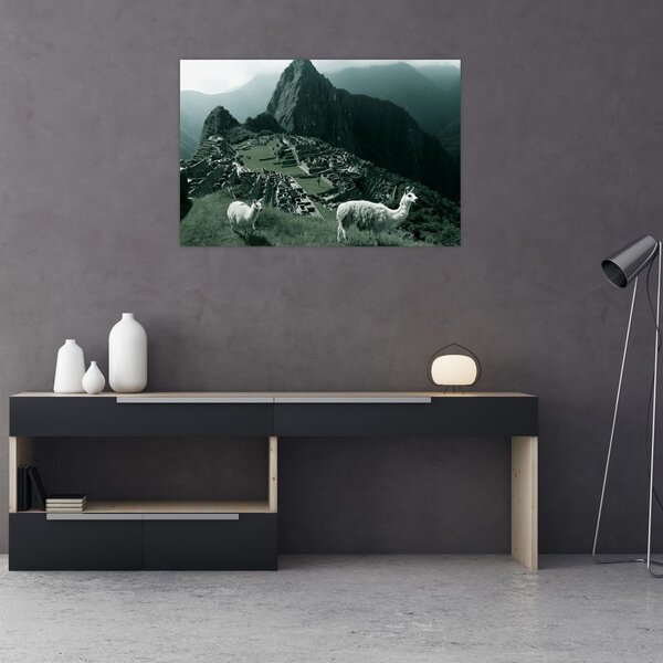 Slika - Plamen u Machu Picchuu u Peruu (90x60 cm)