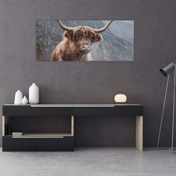 Slika - Highlander krava (120x50 cm)