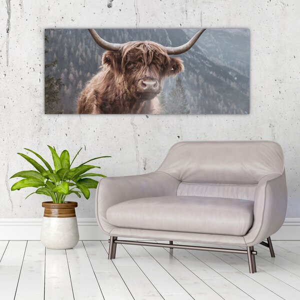 Slika - Highlander krava (120x50 cm)