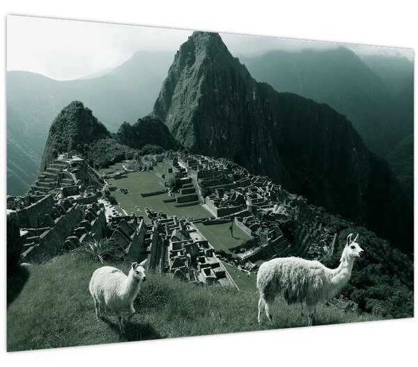 Slika - Plamen u Machu Picchuu u Peruu (90x60 cm)