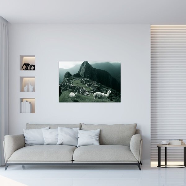 Slika - Plamen u Machu Picchuu u Peruu (90x60 cm)